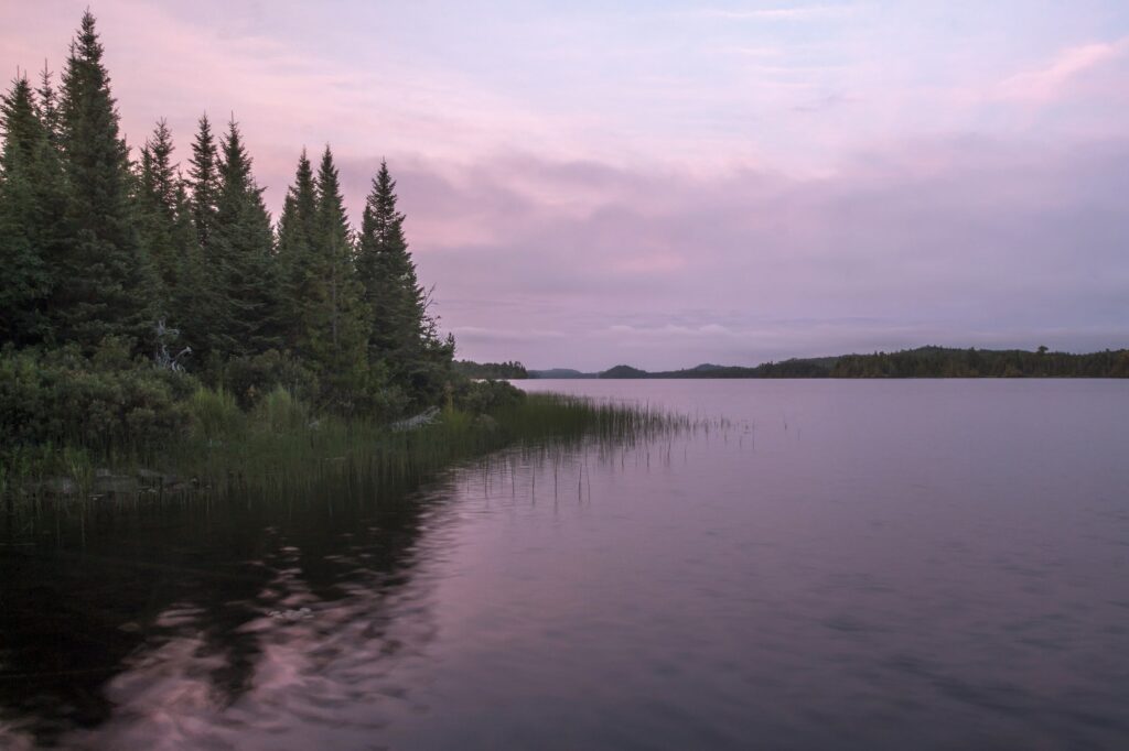 Kenai River fishing guide